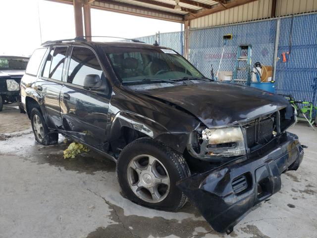 CHEVROLET TRAILBLAZE 2006 with VIN 1GNDT13S562346089 - Photo from auction