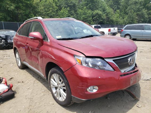LEXUS RX 450 2010 with VIN JTJBC1BA6A2028562 - Photo from auction