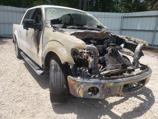 FORD F150 SUPER 2010 with VIN 1FTFW1CV3AFC03307 - Photo from auction