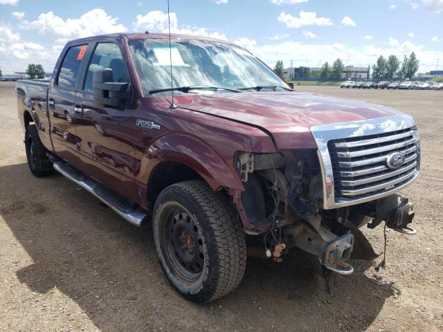 FORD F150 SUPER 2010 with VIN 1FTFW1EV3AFD27462 - Photo from auction