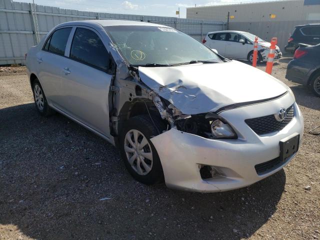 TOYOTA COROLLA BA 2009 with VIN JTDBL40E199051891 - Photo from auction
