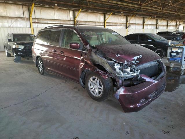 HONDA ODYSSEY EX 2007 with VIN 5FNRL38637B430626 - Photo from auction