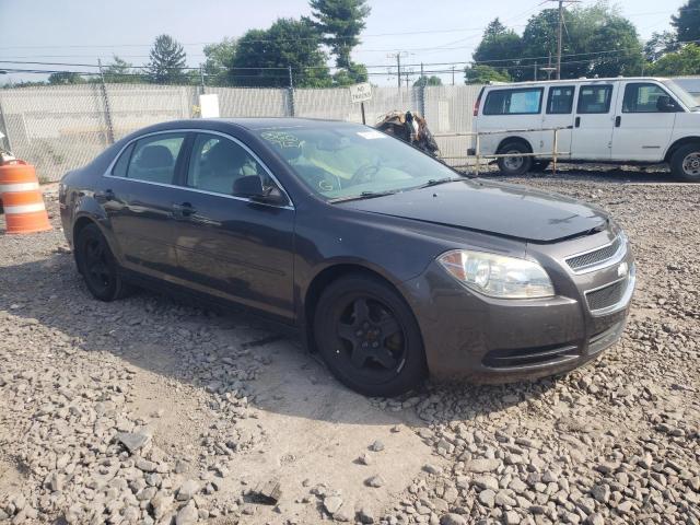 CHEVROLET MALIBU LS 2011 with VIN 1G1ZB5E16BF262243 - Photo from auction