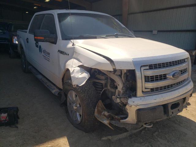 FORD F150 2014 with VIN 1FTFW1EF2EKD58207 - Photo from auction