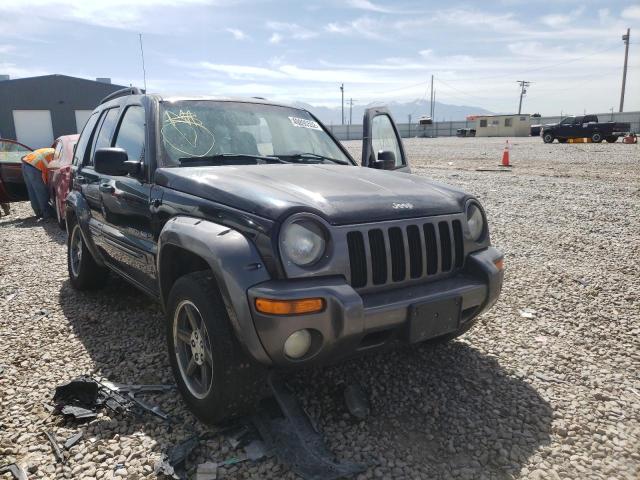 JEEP LIBERTY SP 2003 with VIN 1J4GL48K73W663919 - Photo from auction