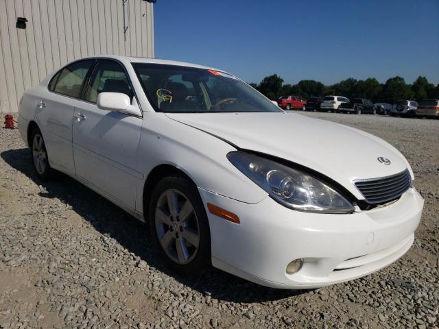 LEXUS ES 330 2006 with VIN JTHBA30G065164377 - Photo from auction