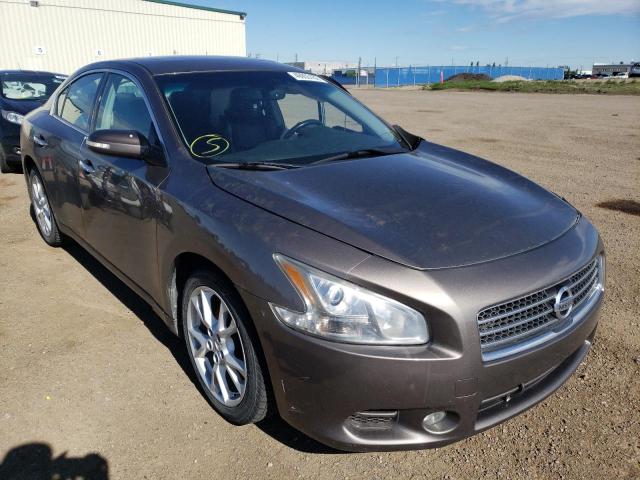 NISSAN MAXIMA S 2013 with VIN 1N4AA5AP6DC821172 - Photo from auction