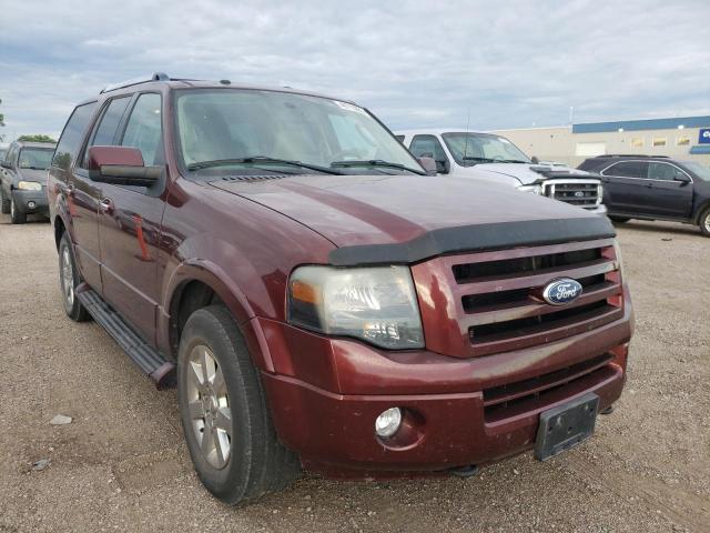 FORD EXPEDITION 2009 with VIN 1FMFU20509EA99646 - Photo from auction