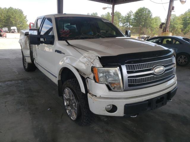 FORD OTHER 2009 with VIN 1FTPW14V39FA80428 - Photo from auction