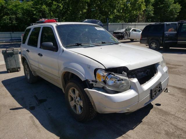 FORD ESCAPE XLT 2007 with VIN 1FMCU93127KA16589 - Photo from auction
