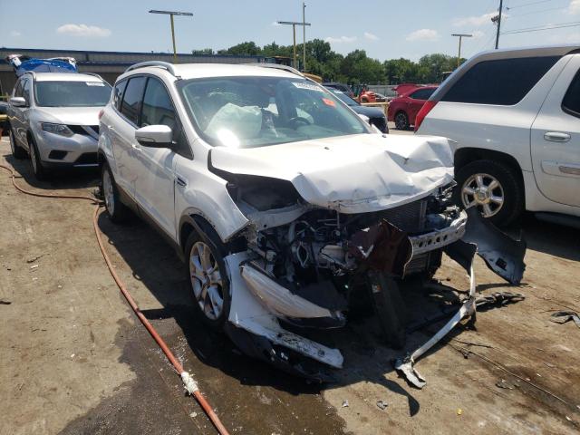 FORD ESCAPE TIT 2014 with VIN 1FMCU0JX0EUB96384 - Photo from auction