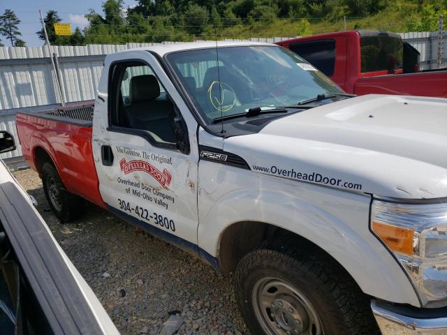 Photo 9 from auction – 2013 FORD F250 SUPER with VIN 1FTBF2A65DEB55819