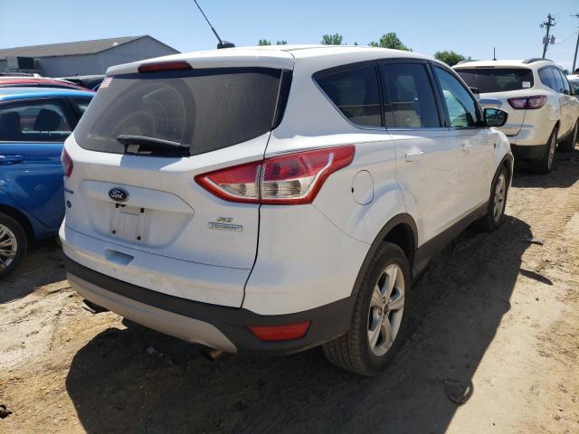 Photo 4 from auction – 2014 FORD ESCAPE SE with VIN 1FMCU0G99EUB05802