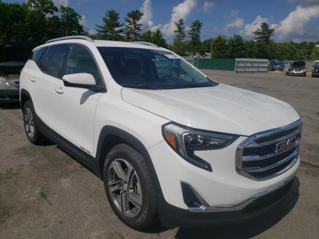 GMC TERRAIN SL 2020 with VIN 3GKALPEV3LL269145 - Photo from auction