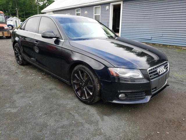 AUDI A4 PREMIUM 2010 with VIN WAUHFAFL0AN068650 - Photo from auction