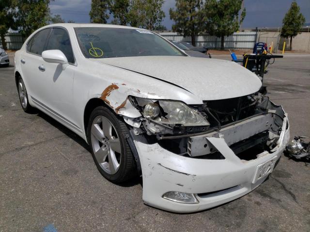 LEXUS LS 460 2007 with VIN JTHBL46F575013373 - Photo from auction