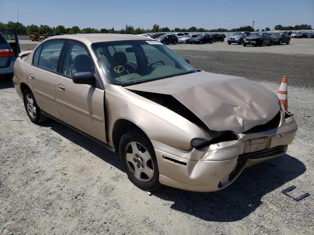 CHEVROLET CLASSIC 2004 with VIN 1G1ND52F64M641816 - Photo from auction