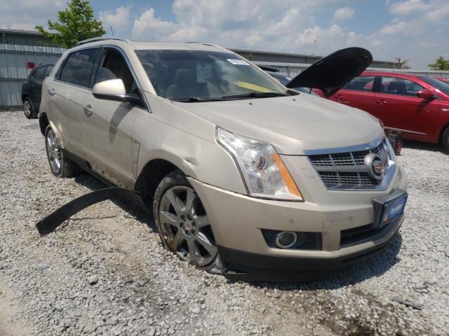 CADILLAC SRX PREMIU 2011 with VIN 3GYFNFEY7BS537337 - Photo from auction