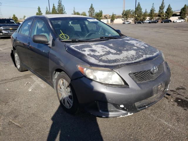 TOYOTA COROLLA BA 2010 with VIN 1NXBU4EE9AZ321324 - Photo from auction