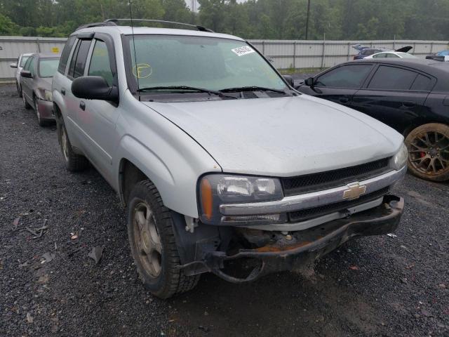 CHEVROLET TRAILBLAZE 2008 with VIN 1GNDT13S382208439 - Photo from auction