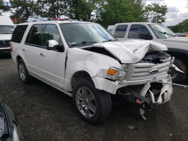 FORD EXPEDITION 2010 with VIN 1FMJU2A52AEB67975 - Photo from auction