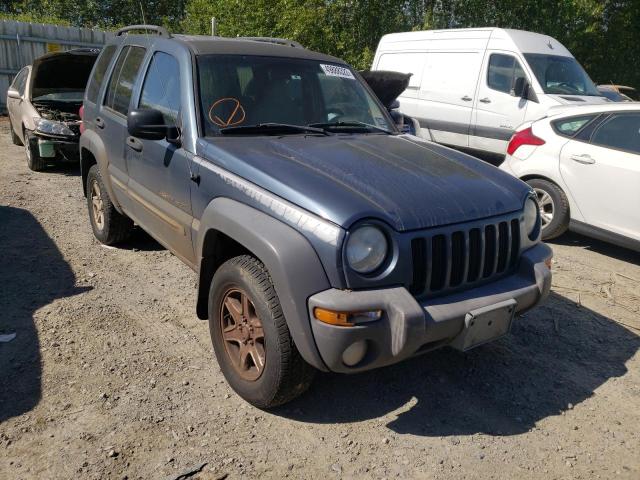 Photo 1 from auction – 2002 JEEP LIBERTY SP with VIN 1J4GL48K82W296205