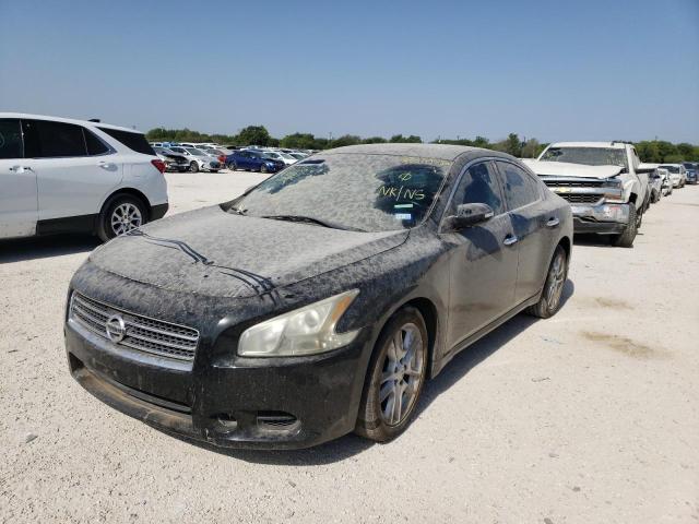 Photo 2 from auction – 2011 NISSAN MAXIMA S with VIN 1N4AA5APXBC862207