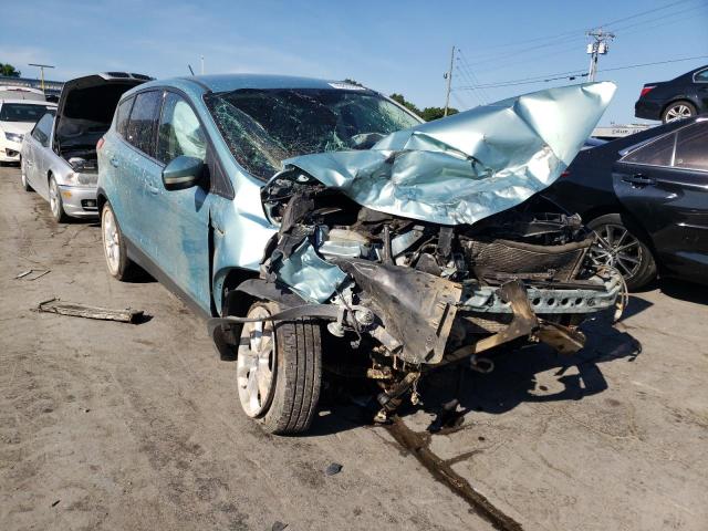 FORD ESCAPE SEL 2013 with VIN 1FMCU0HX4DUA74776 - Photo from auction