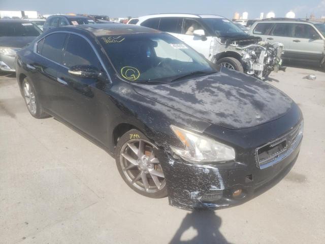NISSAN MAXIMA S 2010 with VIN 1N4AA5AP4AC825801 - Photo from auction