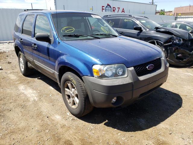 FORD ESCAPE XLT 2007 with VIN 1FMCU93107KA83210 - Photo from auction