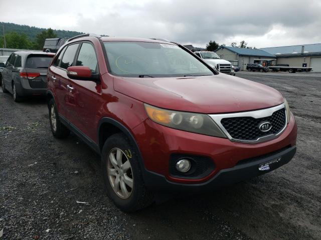 KIA SORENTO BA 2011 with VIN 5XYKT4A14BG012003 - Photo from auction