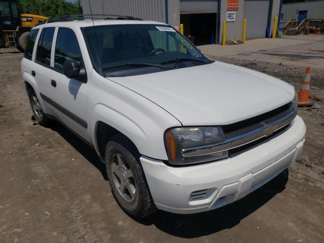 CHEVROLET TRAILBLAZE 2005 with VIN 1GNDT13S052182524 - Photo from auction