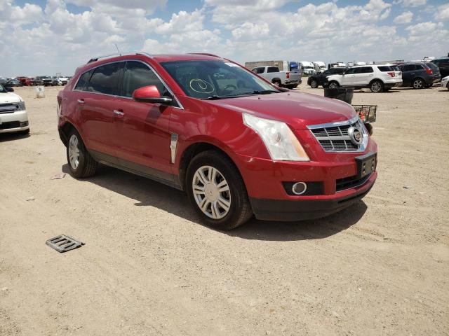 CADILLAC SRX PREMIU 2011 with VIN 3GYFNCEY1BS604254 - Photo from auction
