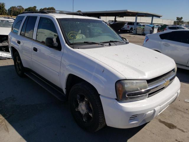 CHEVROLET TRAILBLAZE 2008 with VIN 1GNDT13S482229381 - Photo from auction