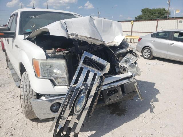 Photo 9 from auction – 2009 FORD F150 SUPER with VIN 1FTRW12899FA75143