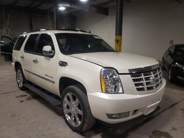 CADILLAC ESCALADE L 2009 with VIN 1GYFK23289R217599 - Photo from auction