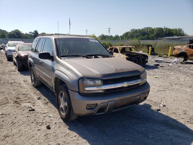 CHEVROLET TRAILBLAZE 2007 with VIN 1GNDS13S572151307 - Photo from auction