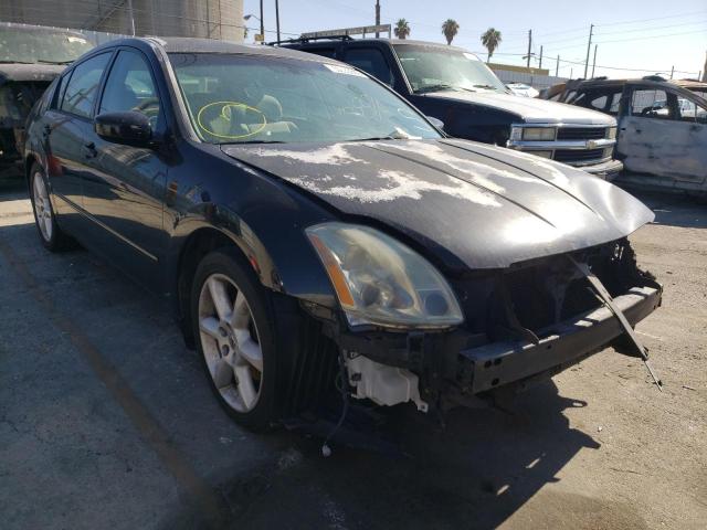 NISSAN MAXIMA SE 2004 with VIN 1N4BA41E14C884497 - Photo from auction