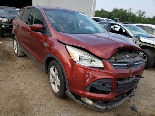 FORD ESCAPE SE 2014 with VIN 1FMCU0GXXEUD87205 - Photo from auction