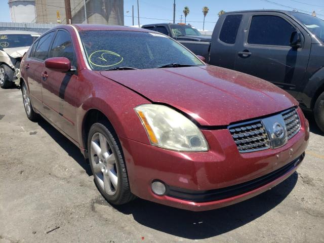 NISSAN MAXIMA SE 2006 with VIN 1N4BA41E16C859196 - Photo from auction
