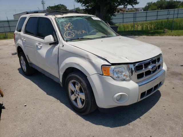 Photo 1 from auction – 2009 FORD ESCAPE LIM with VIN 1FMCU04G29KB10229