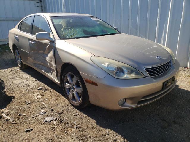 LEXUS ES 330 2005 with VIN JTHBA30G255070712 - Photo from auction