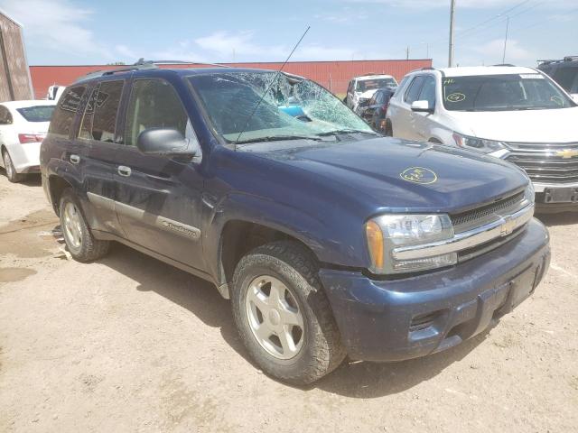 CHEVROLET TRAILBLAZE 2003 with VIN 1GNDS13S232161190 - Photo from auction