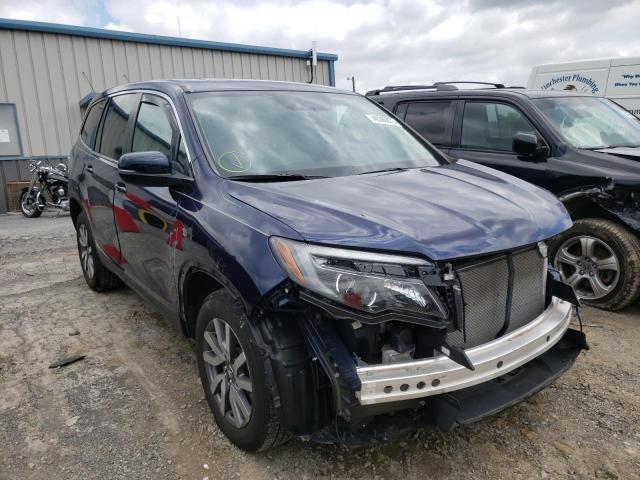 HONDA PILOT EXL 2019 with VIN 5FNYF6H51KB077985 - Photo from auction