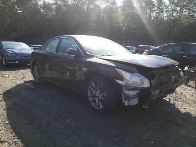 NISSAN MAXIMA S 2010 with VIN 1N4AA5AP0AC859427 - Photo from auction