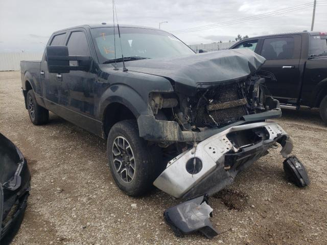 FORD F150 SUPER 2014 with VIN 1FTFW1E60EFB64610 - Photo from auction