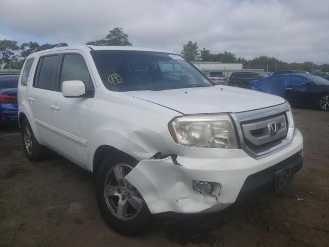 HONDA PILOT EXL 2011 with VIN 5FNYF4H52BB062206 - Photo from auction
