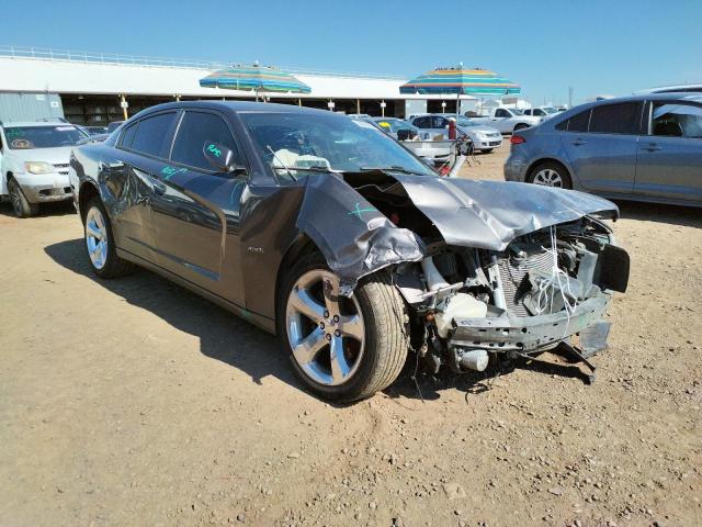 DODGE CHARGER R/ 2013 with VIN 2C3CDXCT9DH617029 - Photo from auction