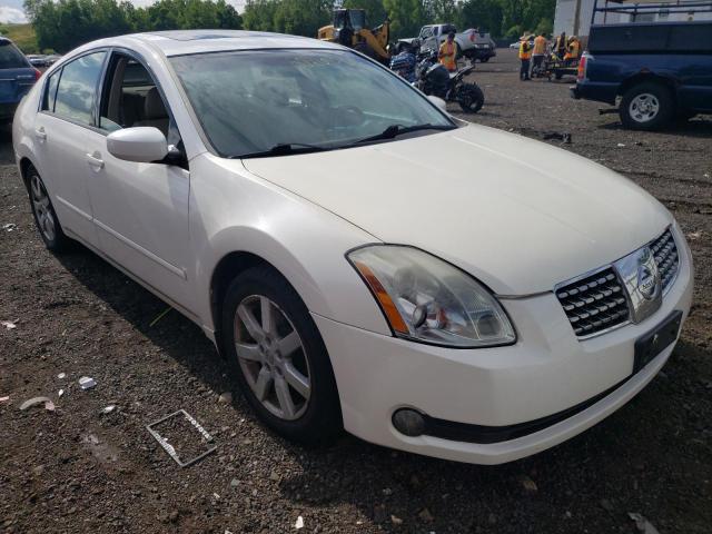 NISSAN MAXIMA SE 2005 with VIN 1N4BA41E35C848182 - Photo from auction