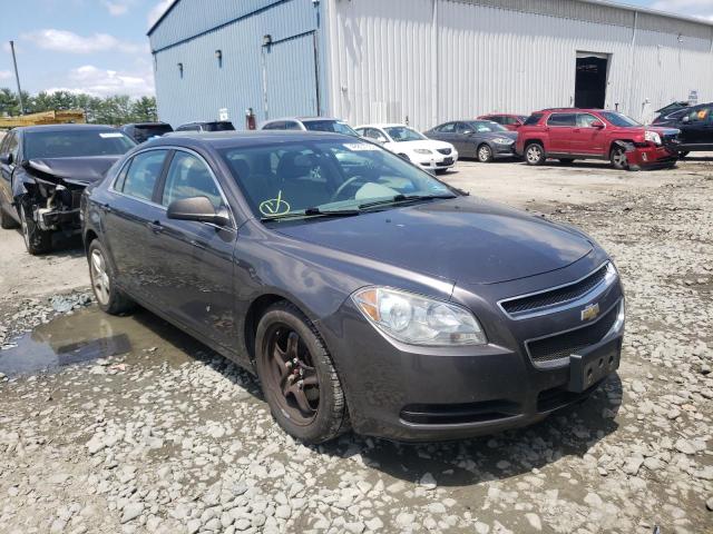 CHEVROLET MALIBU LS 2010 with VIN 1G1ZB5EB3AF268797 - Photo from auction